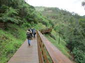 Passadiços do Paiva